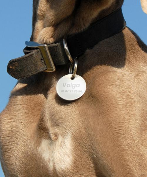 Dog tag engraving on round metal pet tag showing name and phone number