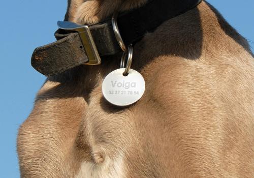 How to Choose the Right Engraving Machine For Dog Tags